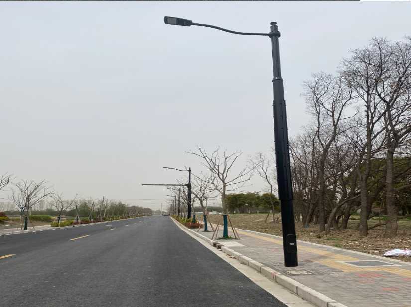 涵江区上海综合杆 太阳能路灯工程